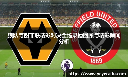 狼队与谢菲联精彩对决全场录播回顾与精彩瞬间分析
